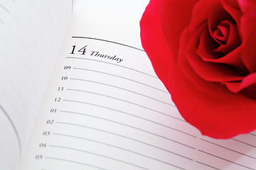 Image showing Red rose on valentines day