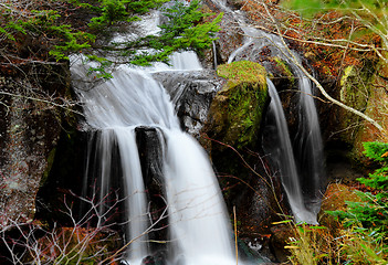 Image showing Waterfall in forest