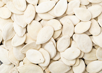 Image showing Pumpkin seed 