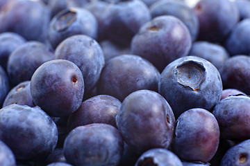 Image showing Blueberry