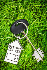 Image showing House key and green grass