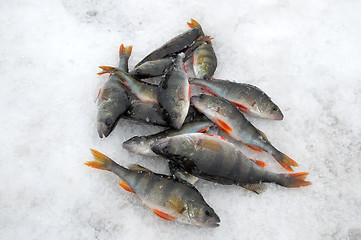 Image showing Ice fishing.