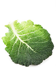 Image showing Cabbage leaves