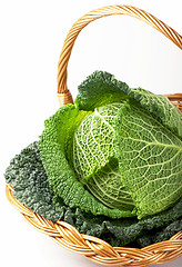 Image showing still life of fresh cabbage