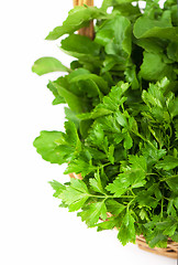 Image showing herbs