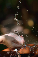 Image showing splashing fresh water on woman hands