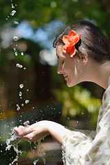 Image showing spa treatment at tropical resort