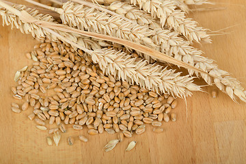 Image showing pile of organic whole grain wheat kernels and ears