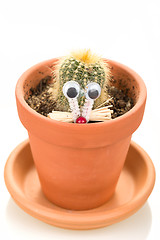 Image showing Cactus plant in flower pot isolated on white