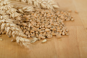 Image showing pile of organic whole grain wheat kernels and ears