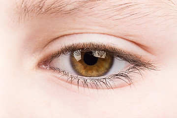 Image showing teenager eye macro