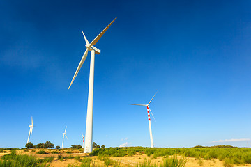 Image showing Aeolian turbines in Calabria