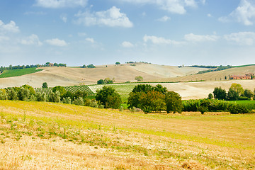 Image showing Val d'Orcia landscape