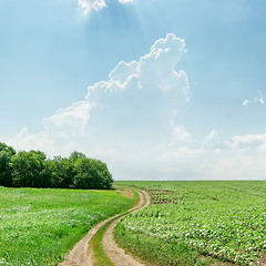 Image showing winding rural road in green grass and light clouds