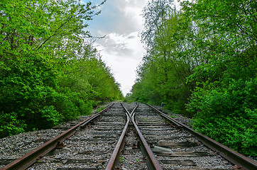 Image showing crossing of two railroads in wood