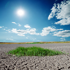 Image showing cracked earth with green grass and deep blue sky over it