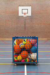 Image showing Collection of different balls in a metal cage