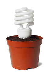 Image showing Eco bulb