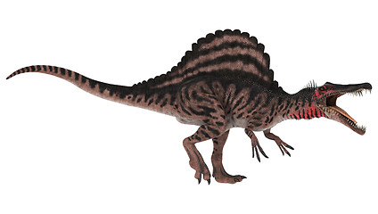 Image showing Dinosaur Spinosaurus