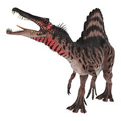 Image showing Dinosaur Spinosaurus