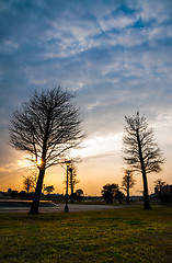 Image showing Park at Sunset