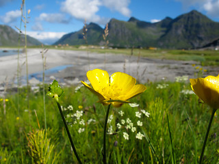 Image showing Norway landscape