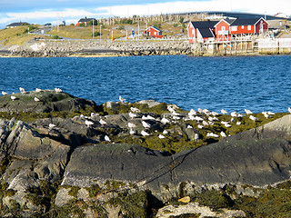 Image showing Norway landscape