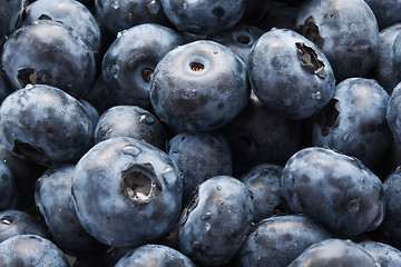 Image showing Blueberries