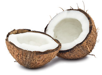 Image showing Coconut