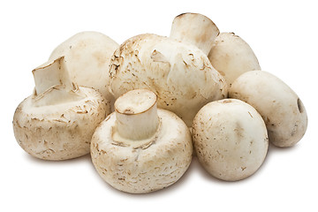 Image showing Champignon mushrooms