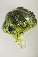 Image showing broccoli cabbage in a plastic bag