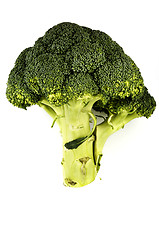 Image showing fresh cabbage broccoli on a white