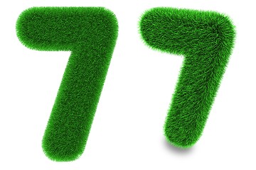 Image showing Number seven made of grass