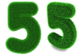 Image showing Number five made of grass