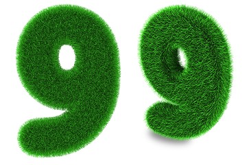 Image showing Number nine made of grass