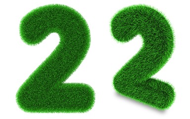 Image showing Number two made of grass