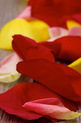 Image showing Rose Petals