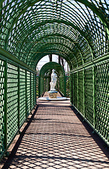 Image showing Alley of the Summer Garden in St. Petersburg