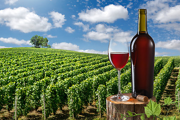 Image showing Glass and bottle of red wine against vineyard landscape