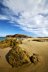 Image showing and summer in lanzarote 