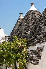 Image showing Trulli houses in Alberobello, Italy