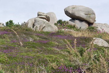 Image showing around Perros-Guirec