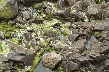 Image showing rock detail around Perros-Guirec