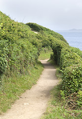 Image showing footpath around Perros-Guirec