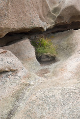 Image showing rock detail around Perros-Guirec