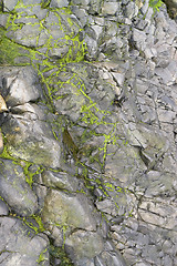 Image showing rock detail around Perros-Guirec