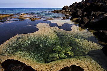 Image showing musk pond rock  and summer in lanzarote spain