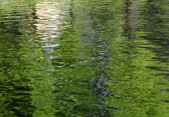 Image showing Abstract pond background