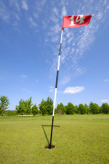 Image showing Golf flag no. 14.