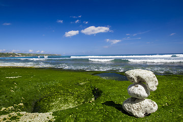 Image showing White Stones in a beach